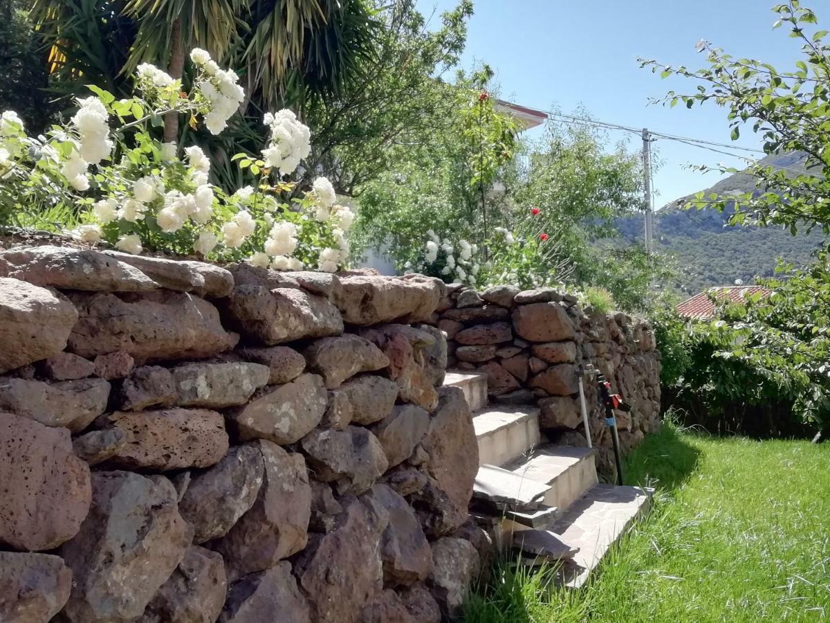 Casa Vacanze Villa Rosetta Доргали Екстериор снимка